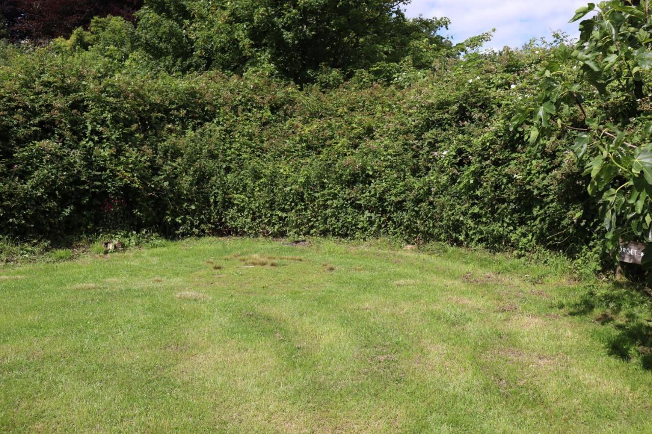 South Downs Eco Lodge & Camping East Meon エクステリア 写真