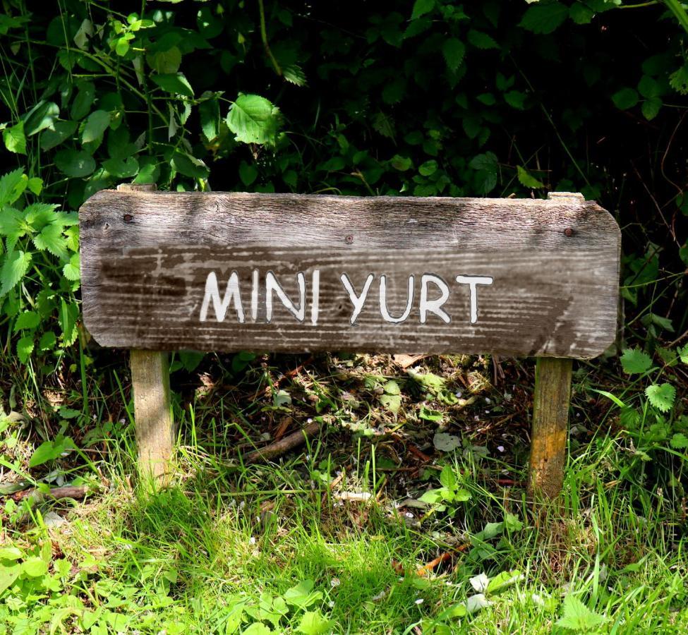 South Downs Eco Lodge & Camping East Meon エクステリア 写真