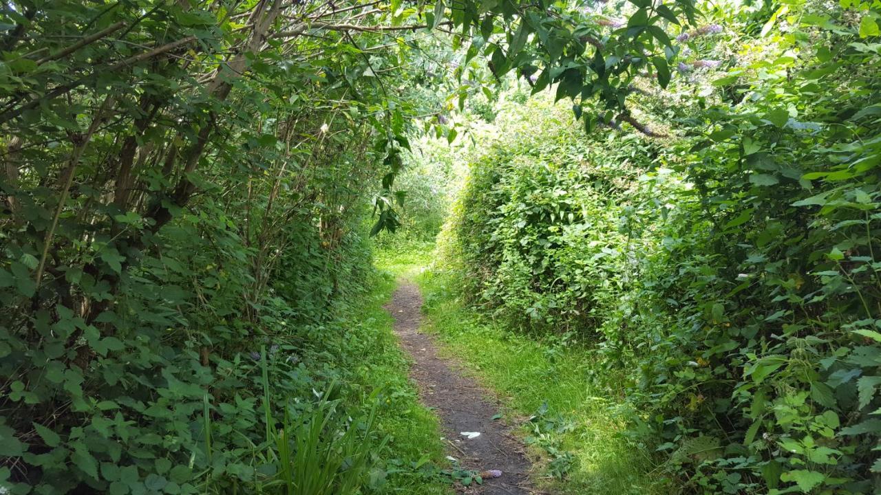 South Downs Eco Lodge & Camping East Meon エクステリア 写真