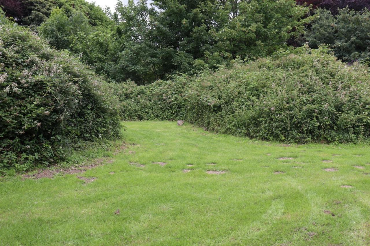 South Downs Eco Lodge & Camping East Meon エクステリア 写真
