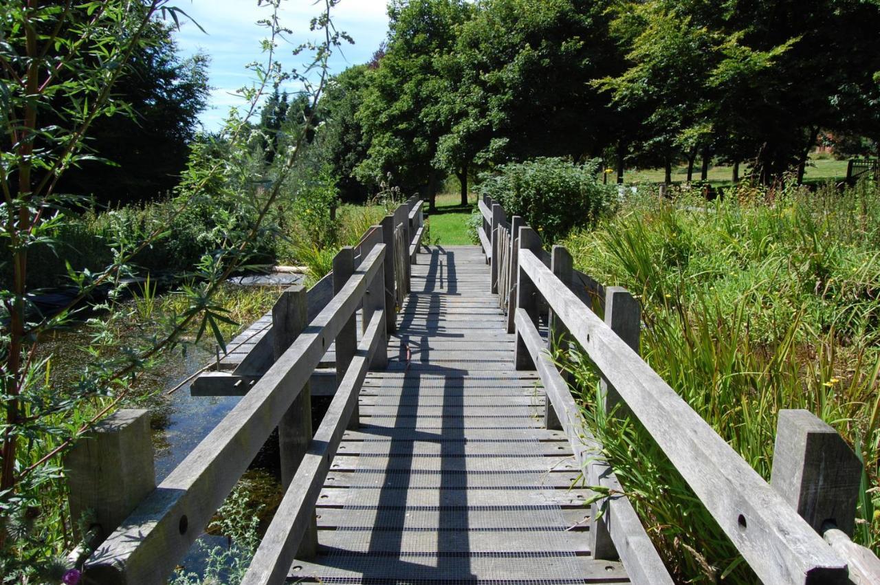 South Downs Eco Lodge & Camping East Meon エクステリア 写真
