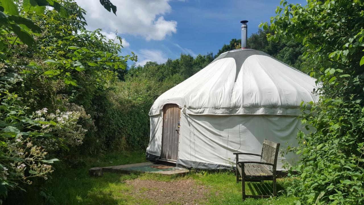 South Downs Eco Lodge & Camping East Meon エクステリア 写真